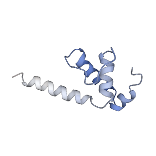 22006_6x2f_K_v1-1
Mfd-bound E.coli RNA polymerase elongation complex - L2 state