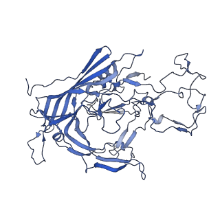 22008_6x2i_1_v1-1
The Cutavirus (CuV) capsid structure