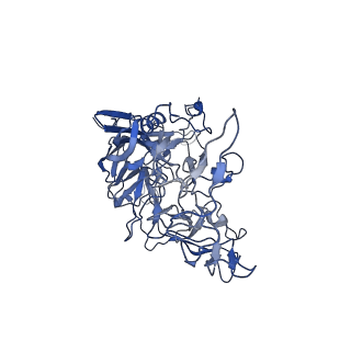 22008_6x2i_3_v1-1
The Cutavirus (CuV) capsid structure