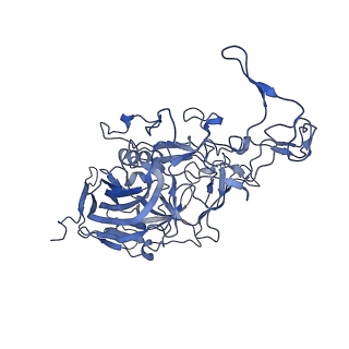 22008_6x2i_6_v1-1
The Cutavirus (CuV) capsid structure