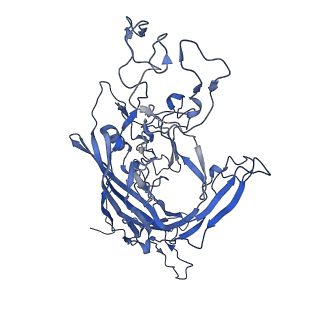 22008_6x2i_8_v1-1
The Cutavirus (CuV) capsid structure