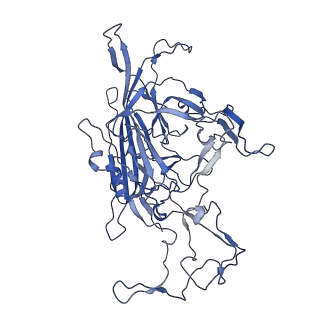 22008_6x2i_A_v1-1
The Cutavirus (CuV) capsid structure