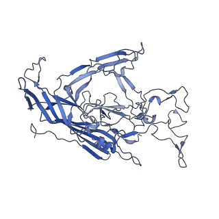 22008_6x2i_B_v1-1
The Cutavirus (CuV) capsid structure