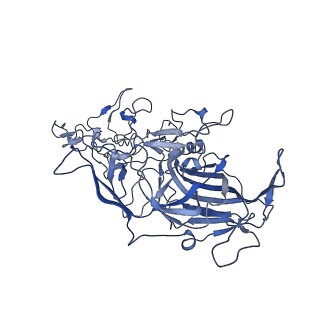 22008_6x2i_D_v1-1
The Cutavirus (CuV) capsid structure