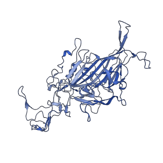 22008_6x2i_E_v1-1
The Cutavirus (CuV) capsid structure