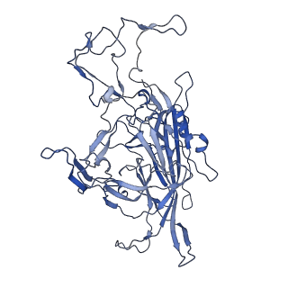 22008_6x2i_F_v1-1
The Cutavirus (CuV) capsid structure