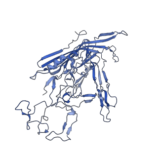 22008_6x2i_H_v1-1
The Cutavirus (CuV) capsid structure