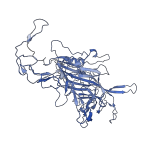 22008_6x2i_I_v1-1
The Cutavirus (CuV) capsid structure