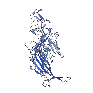 22008_6x2i_J_v1-1
The Cutavirus (CuV) capsid structure