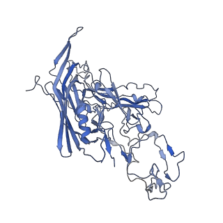 22008_6x2i_K_v1-1
The Cutavirus (CuV) capsid structure