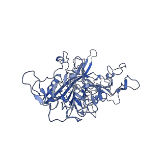 22008_6x2i_L_v1-1
The Cutavirus (CuV) capsid structure