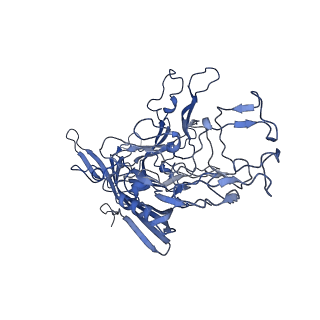 22008_6x2i_M_v1-1
The Cutavirus (CuV) capsid structure