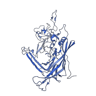 22008_6x2i_O_v1-1
The Cutavirus (CuV) capsid structure