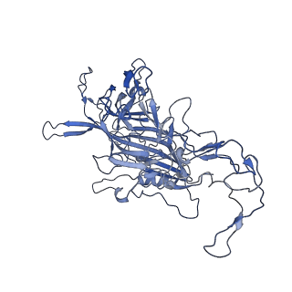 22008_6x2i_Q_v1-1
The Cutavirus (CuV) capsid structure