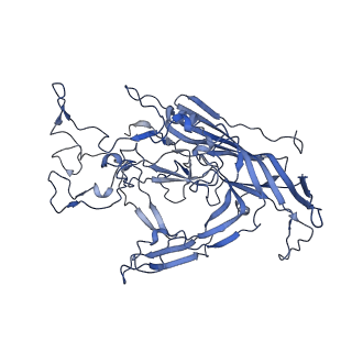 22008_6x2i_R_v1-1
The Cutavirus (CuV) capsid structure