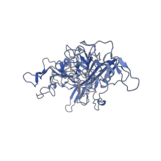 22008_6x2i_U_v1-1
The Cutavirus (CuV) capsid structure