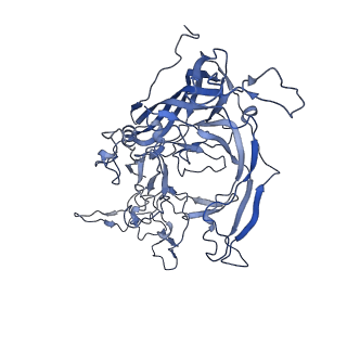 22008_6x2i_V_v1-1
The Cutavirus (CuV) capsid structure