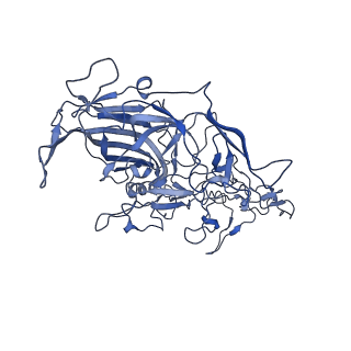 22008_6x2i_W_v1-1
The Cutavirus (CuV) capsid structure