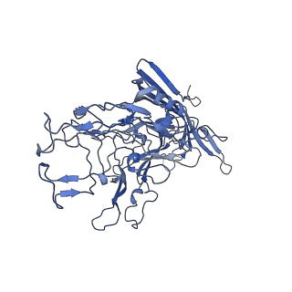 22008_6x2i_X_v1-1
The Cutavirus (CuV) capsid structure