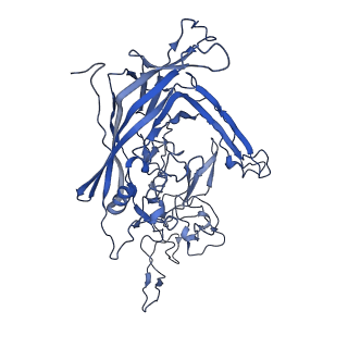 22008_6x2i_Z_v1-1
The Cutavirus (CuV) capsid structure