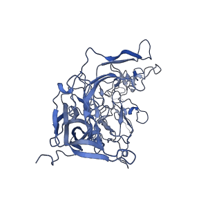 22008_6x2i_a_v1-1
The Cutavirus (CuV) capsid structure