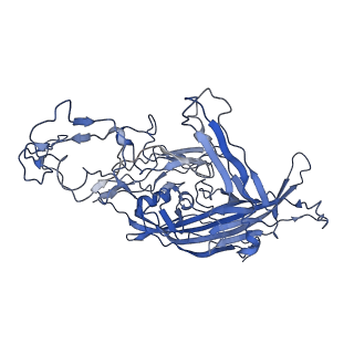 22008_6x2i_b_v1-1
The Cutavirus (CuV) capsid structure