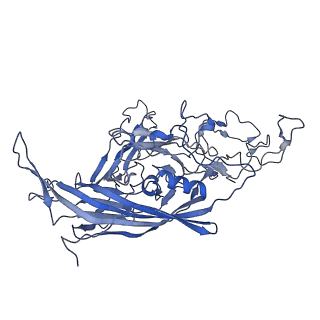 22008_6x2i_c_v1-1
The Cutavirus (CuV) capsid structure