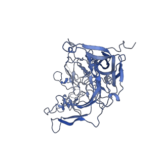 22008_6x2i_d_v1-1
The Cutavirus (CuV) capsid structure