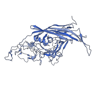 22008_6x2i_f_v1-1
The Cutavirus (CuV) capsid structure