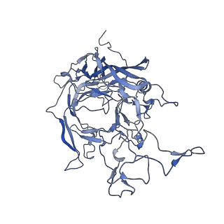 22008_6x2i_g_v1-1
The Cutavirus (CuV) capsid structure