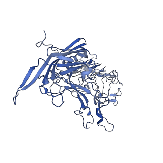 22008_6x2i_h_v1-1
The Cutavirus (CuV) capsid structure