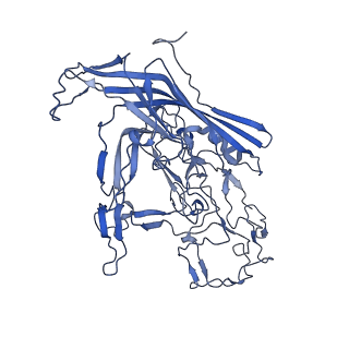 22008_6x2i_j_v1-1
The Cutavirus (CuV) capsid structure