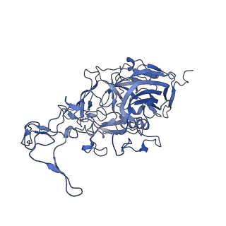 22008_6x2i_k_v1-1
The Cutavirus (CuV) capsid structure