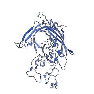 22008_6x2i_l_v1-1
The Cutavirus (CuV) capsid structure