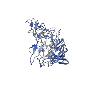 22008_6x2i_n_v1-1
The Cutavirus (CuV) capsid structure