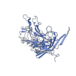 22008_6x2i_o_v1-1
The Cutavirus (CuV) capsid structure