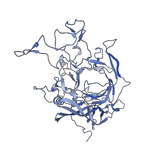 22008_6x2i_p_v1-1
The Cutavirus (CuV) capsid structure