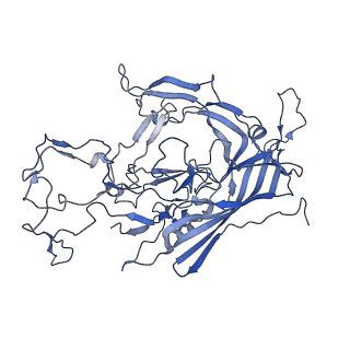 22008_6x2i_q_v1-1
The Cutavirus (CuV) capsid structure