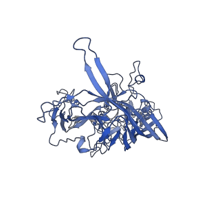 22008_6x2i_s_v1-1
The Cutavirus (CuV) capsid structure