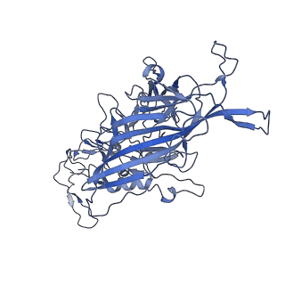 22008_6x2i_u_v1-1
The Cutavirus (CuV) capsid structure