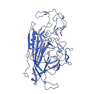 22008_6x2i_v_v1-1
The Cutavirus (CuV) capsid structure