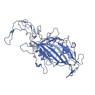 22008_6x2i_w_v1-1
The Cutavirus (CuV) capsid structure