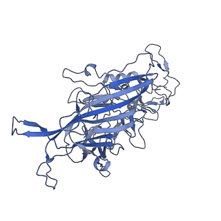 22008_6x2i_x_v1-1
The Cutavirus (CuV) capsid structure