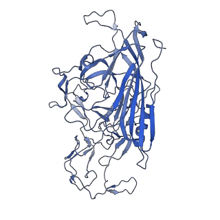 22008_6x2i_y_v1-1
The Cutavirus (CuV) capsid structure