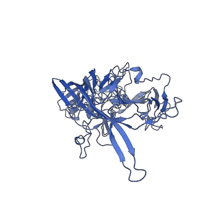 22008_6x2i_z_v1-1
The Cutavirus (CuV) capsid structure