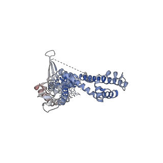 22009_6x2j_A_v1-1
Structure of human TRPA1 in complex with agonist GNE551