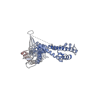 22009_6x2j_A_v1-2
Structure of human TRPA1 in complex with agonist GNE551