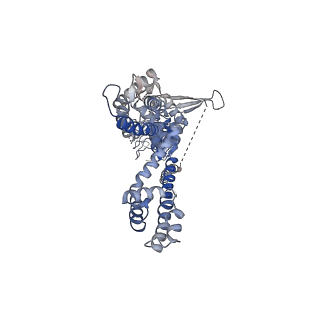 22009_6x2j_B_v1-1
Structure of human TRPA1 in complex with agonist GNE551