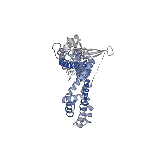 22009_6x2j_B_v1-2
Structure of human TRPA1 in complex with agonist GNE551