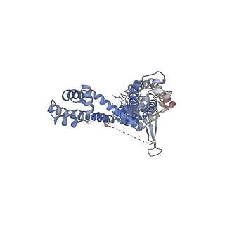 22009_6x2j_C_v1-1
Structure of human TRPA1 in complex with agonist GNE551